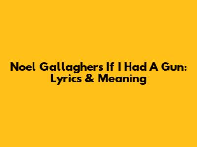 Noel Gallagher's 'If I Had A Gun': Lyrics & Meaning