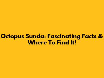 Octopus Sunda: Fascinating Facts & Where To Find It!
