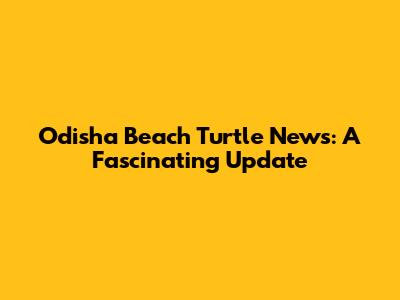 Odisha Beach Turtle News: A Fascinating Update
