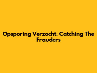 Opsporing Verzocht: Catching The Frauders