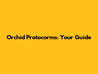 Orchid Protocorms: Your Guide
