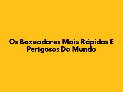 Os Boxeadores Mais Rápidos E Perigosos Do Mundo