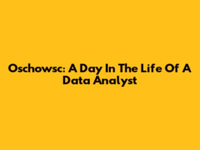Oschowsc: A Day In The Life Of A Data Analyst