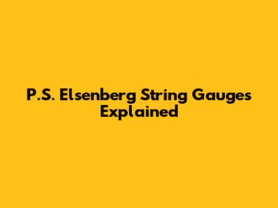P.S. Elsenberg String Gauges Explained