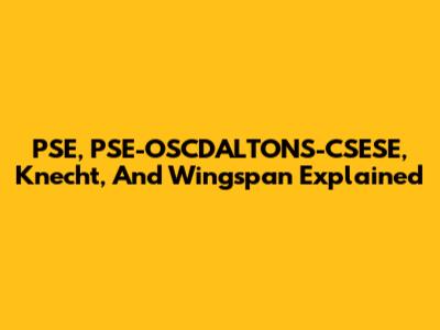 PSE, PSE-OSCDALTONS-CSESE, Knecht, And Wingspan Explained
