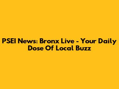 PSEI News: Bronx Live - Your Daily Dose Of Local Buzz