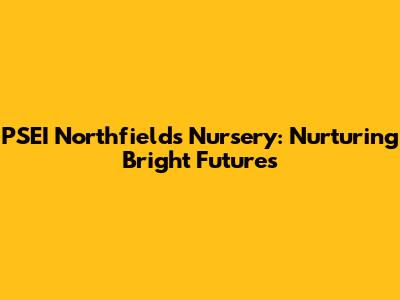 PSEI Northfields Nursery: Nurturing Bright Futures