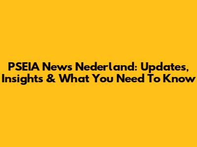 PSEIA News Nederland: Updates, Insights & What You Need To Know