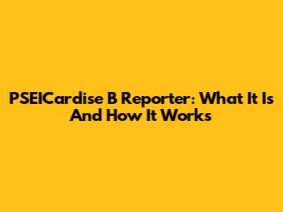 PSEICardise B Reporter: What It Is And How It Works