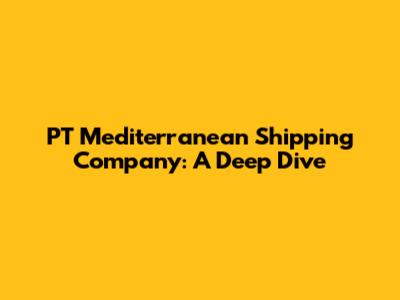 PT Mediterranean Shipping Company: A Deep Dive