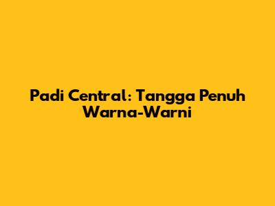 Padi Central: Tangga Penuh Warna-Warni
