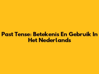 Past Tense: Betekenis En Gebruik In Het Nederlands