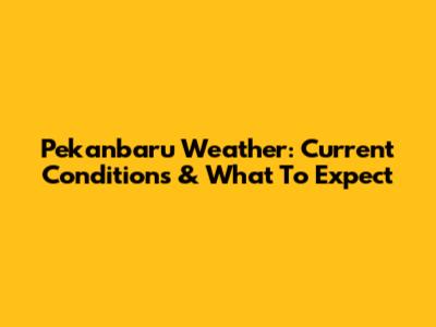Pekanbaru Weather: Current Conditions & What To Expect