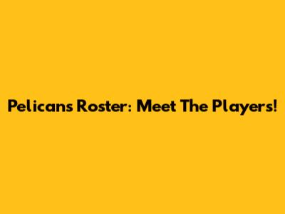 Pelicans Roster: Meet The Players!