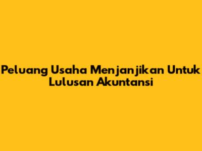Peluang Usaha Menjanjikan Untuk Lulusan Akuntansi