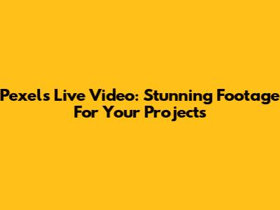 Pexels Live Video: Stunning Footage For Your Projects