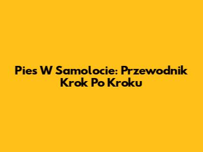 Pies W Samolocie: Przewodnik Krok Po Kroku