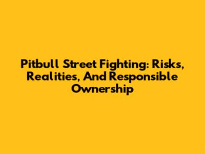Pitbull Street Fighting: Risks, Realities, And Responsible Ownership