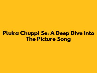 Pluka Chuppi Se: A Deep Dive Into The Picture Song