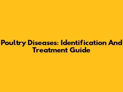 Poultry Diseases: Identification And Treatment Guide