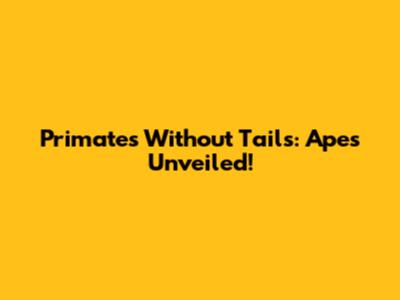 Primates Without Tails: Apes Unveiled!