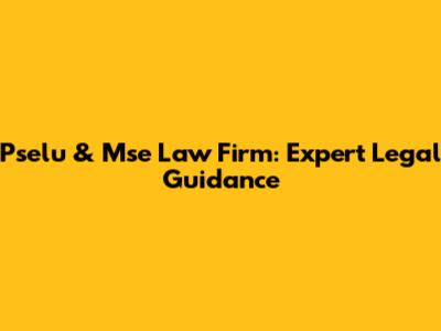 Pselu & Mse Law Firm: Expert Legal Guidance