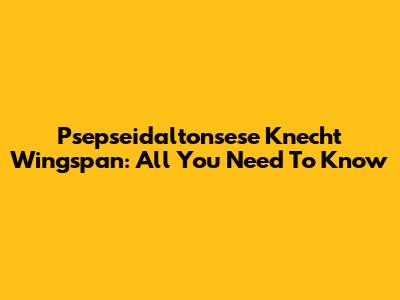 Psepseidaltonsese Knecht Wingspan: All You Need To Know