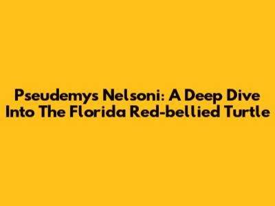 Pseudemys Nelsoni: A Deep Dive Into The Florida Red-bellied Turtle