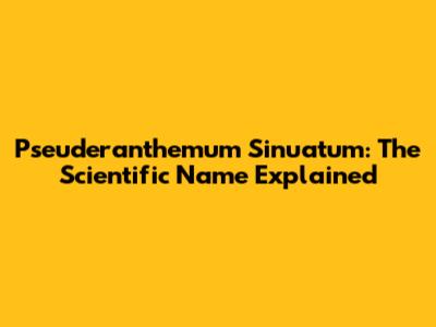 Pseuderanthemum Sinuatum: The Scientific Name Explained