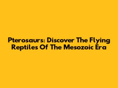 Pterosaurs: Discover The Flying Reptiles Of The Mesozoic Era