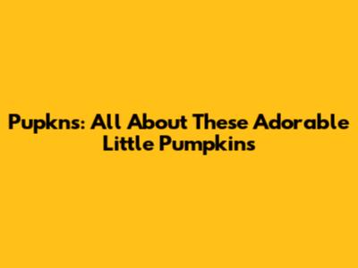 Pupkns: All About These Adorable Little Pumpkins