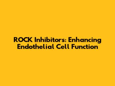 ROCK Inhibitors: Enhancing Endothelial Cell Function