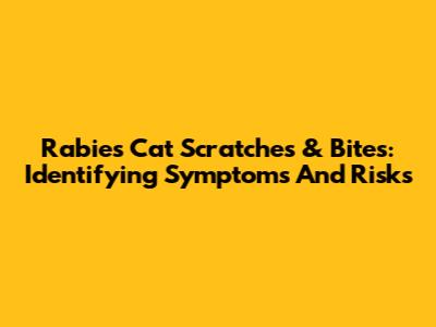 Rabies Cat Scratches & Bites: Identifying Symptoms And Risks