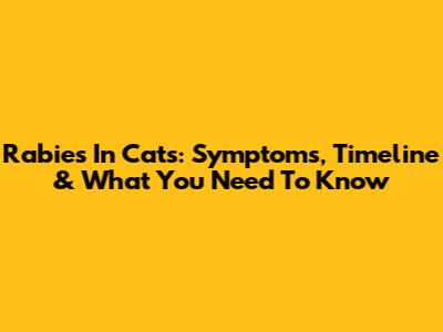Rabies In Cats: Symptoms, Timeline & What You Need To Know