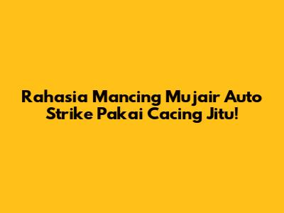 Rahasia Mancing Mujair Auto Strike Pakai Cacing Jitu!