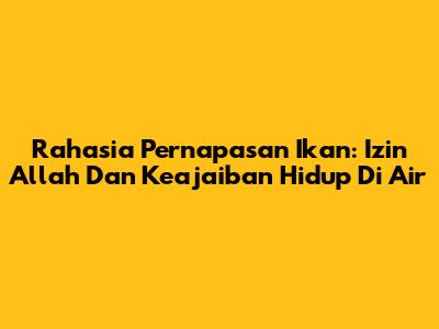 Rahasia Pernapasan Ikan: Izin Allah Dan Keajaiban Hidup Di Air