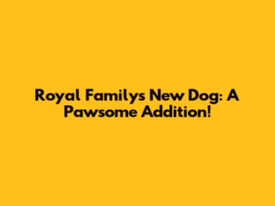 Royal Family's New Dog: A Pawsome Addition!