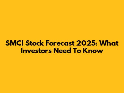 SMCI Stock Forecast 2025: What Investors Need To Know