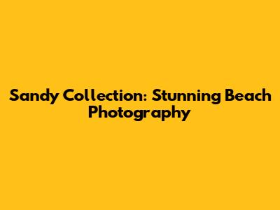 Sandy Collection: Stunning Beach Photography