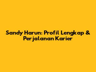 Sandy Harun: Profil Lengkap & Perjalanan Karier