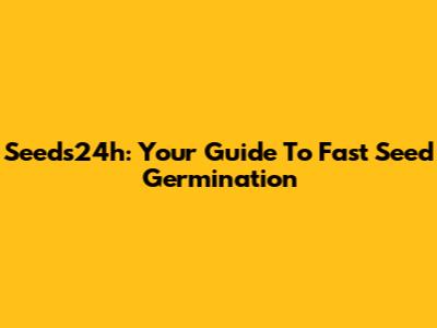 Seeds24h: Your Guide To Fast Seed Germination