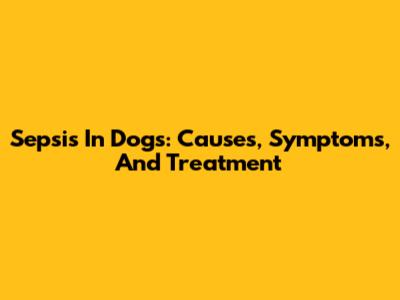 Sepsis In Dogs: Causes, Symptoms, And Treatment