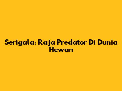 Serigala: Raja Predator Di Dunia Hewan