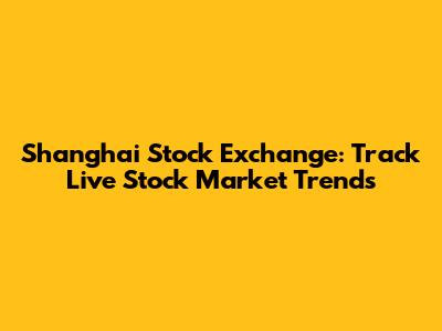 Shanghai Stock Exchange: Track Live Stock Market Trends