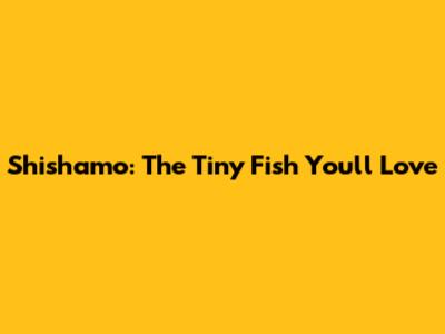 Shishamo: The Tiny Fish You'll Love