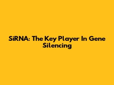 SiRNA: The Key Player In Gene Silencing