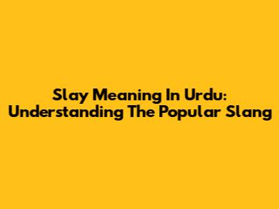 Slay Meaning In Urdu: Understanding The Popular Slang