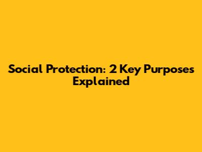 Social Protection: 2 Key Purposes Explained
