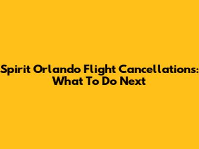 Spirit Orlando Flight Cancellations: What To Do Next