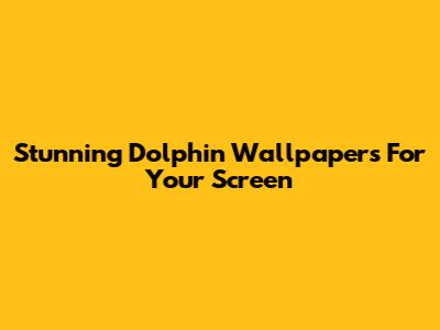Stunning Dolphin Wallpapers For Your Screen